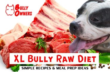 XL Bully Raw Diet