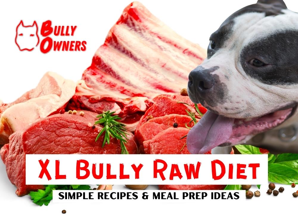 XL Bully Raw Diet