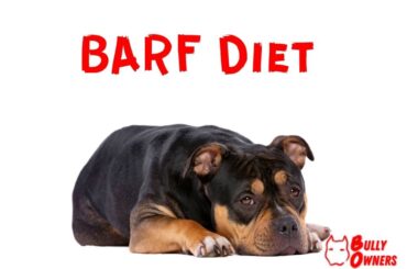 BARF DIET FOR BULLIIES