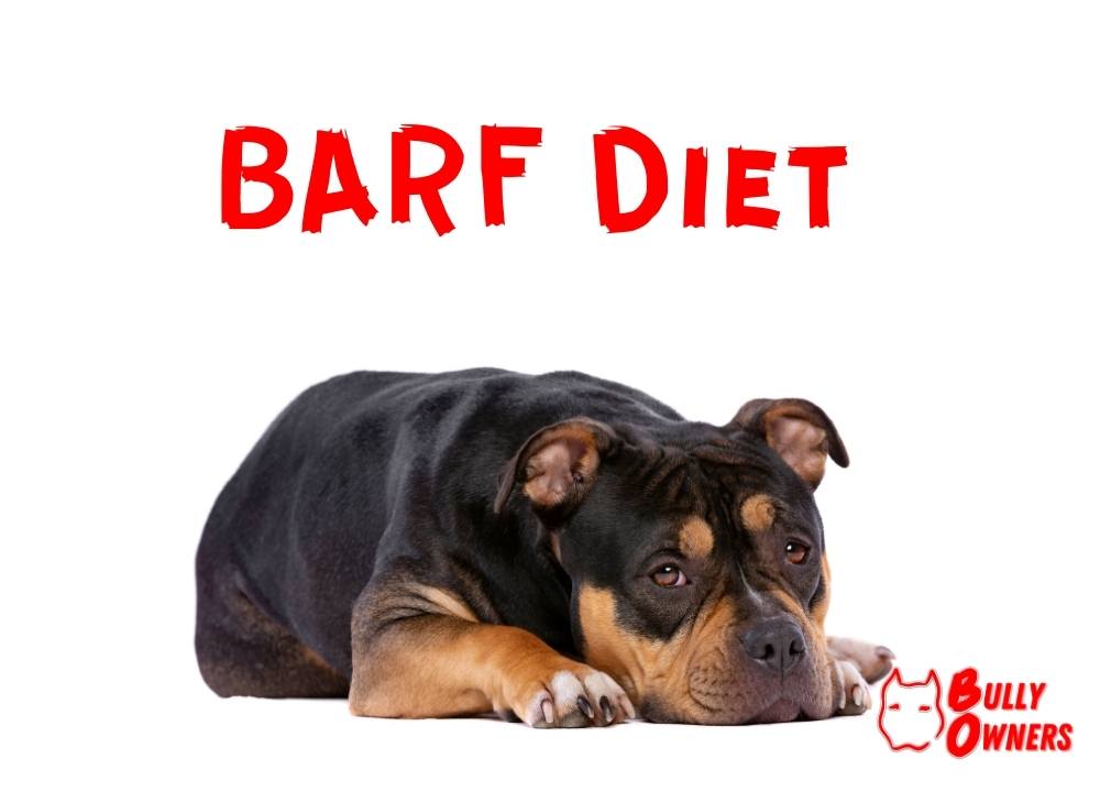 BARF DIET FOR BULLIIES