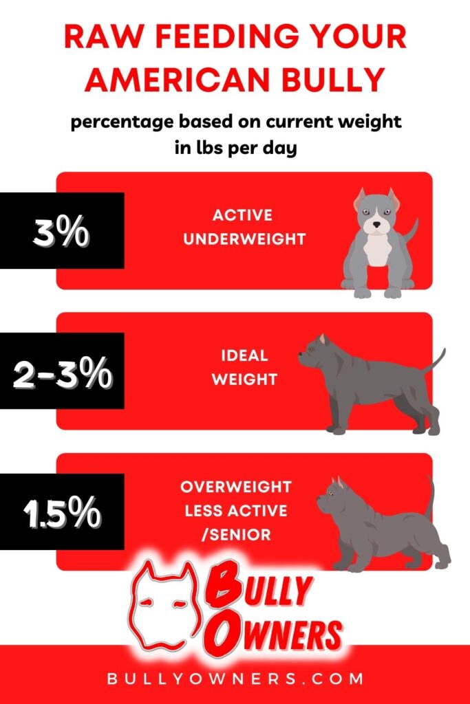 How Much Raw Food Should I Feed My Xl American Bully?