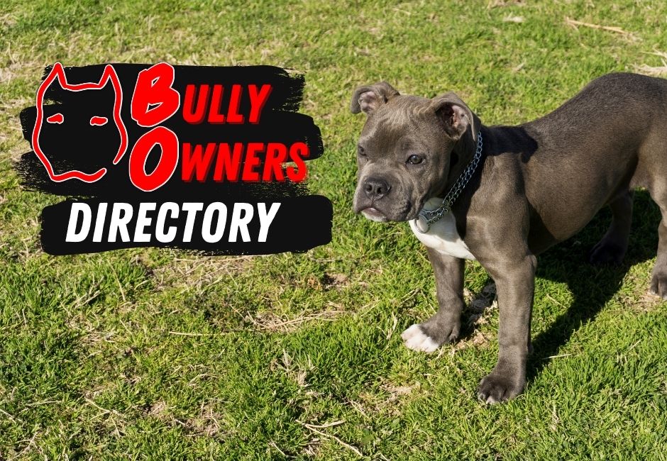 Parkside Bullys Kennel