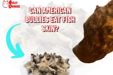 can American Bullies eat fish skin