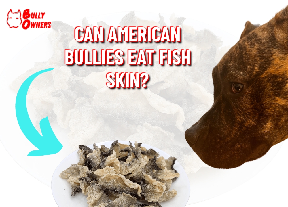 can American Bullies eat fish skin