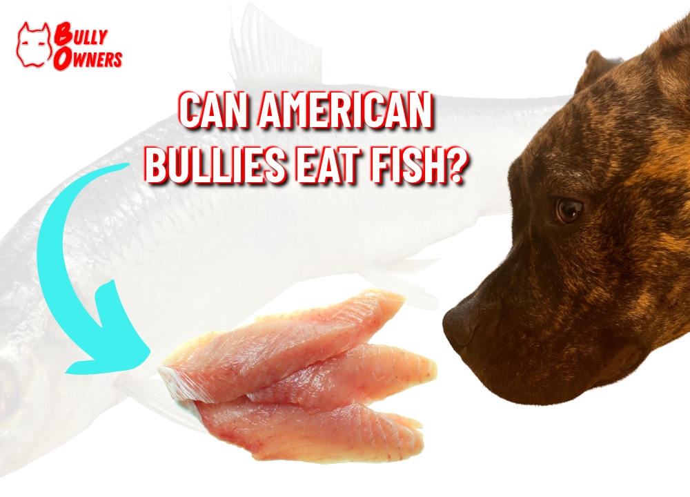 can American Bullies eat fish