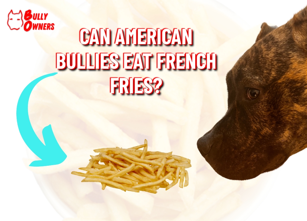 can American Bullies eat french fries