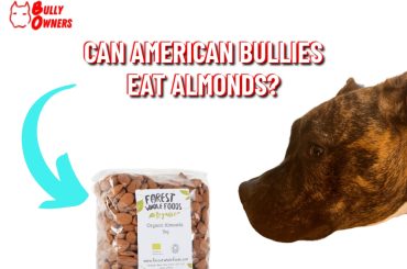 can american bullies eat almonds