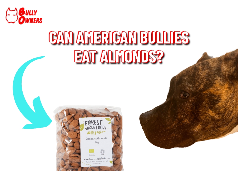 can american bullies eat almonds