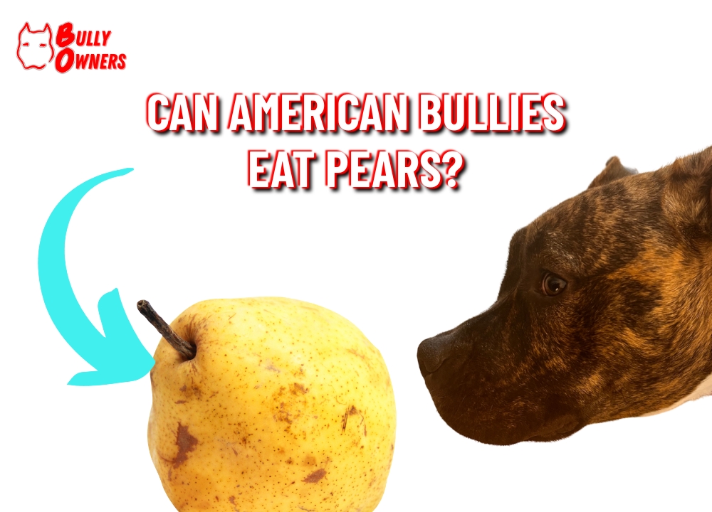 can american bullies eat pears